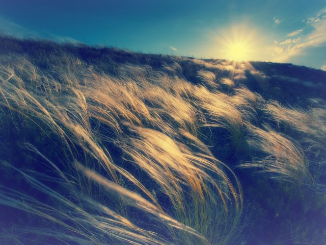 wind