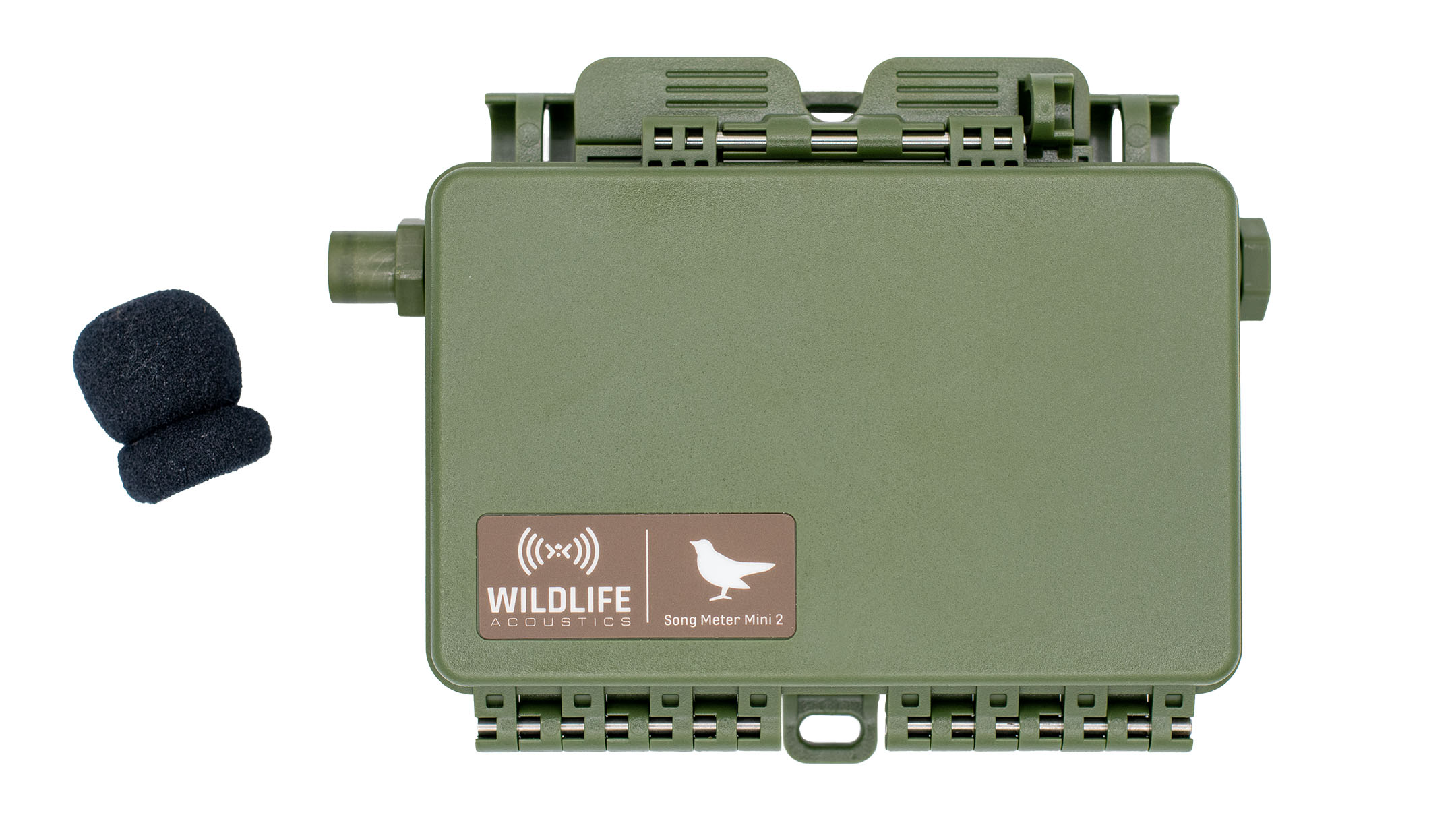 A Song Meter Mini 2 with only a left microphone. The foam windscreen has been removed, exposing a plastic cylinder that houses the microphone.