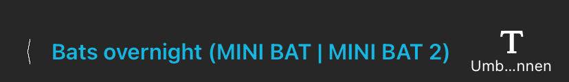 Die oberste Infoleiste des Konfigurations-Editors in der Konfigurationsbibliothek. Von links nach rechts: < Fledermäuse Übernacht (MINI BAT | MINI BAT 2) Umbenennen.