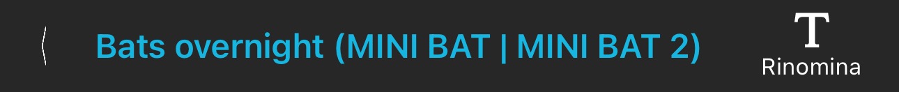 La barra delle informazioni più in alto di un Editor di configurazione nella Libreria di configurazione. Da sinistra a destra, "< Bats overnight (MINI BAT | MINI BAT 2) Rename."